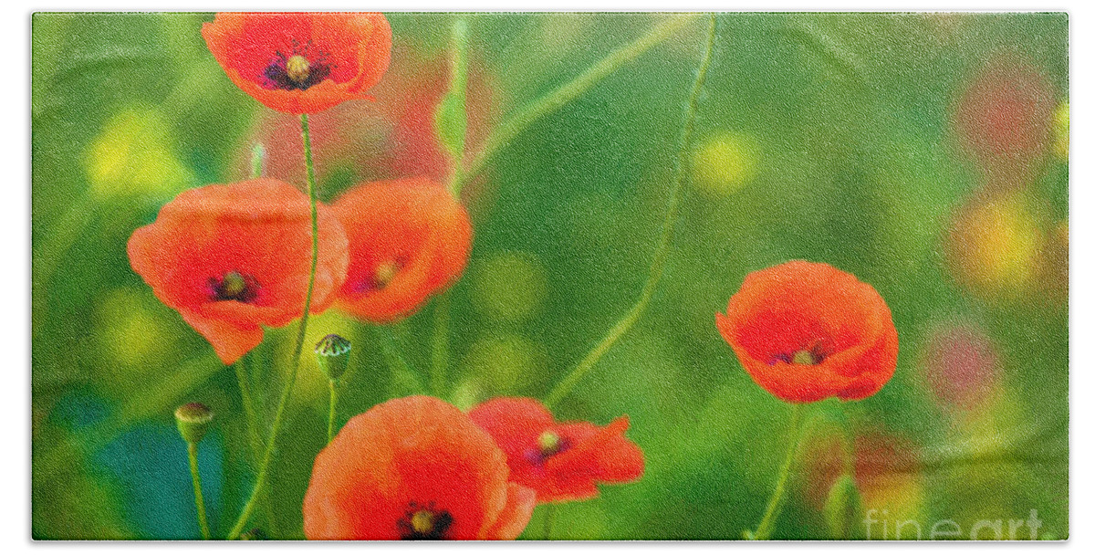 Poppies Beach Towel featuring the photograph Poppies #3 by Andrew Michael
