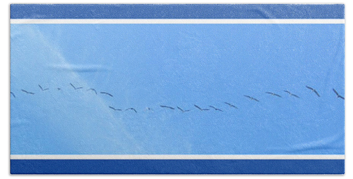 Birds Beach Sheet featuring the photograph String of Birds in Blue #2 by Mary Mikawoz