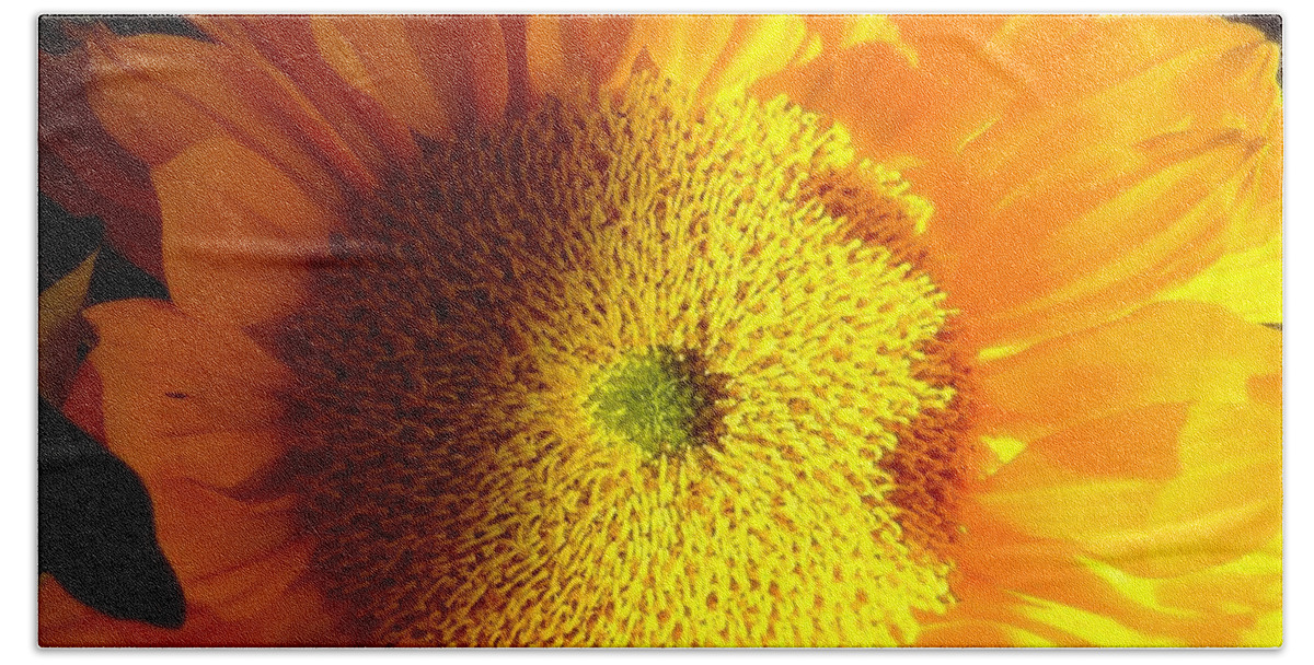 Sunflower Beach Towel featuring the photograph Sunflower #2 by Donna Spadola