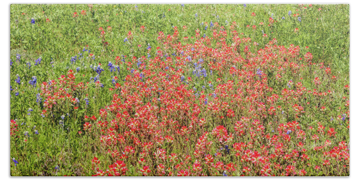Austin Beach Towel featuring the photograph Texas Wildflowers #2 by Raul Rodriguez