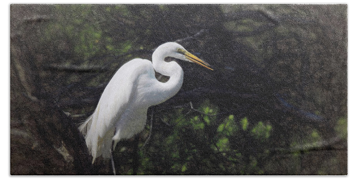 Great White Egret-egrets Beach Sheet featuring the photograph The Great White Egret #2 by Scott Cameron