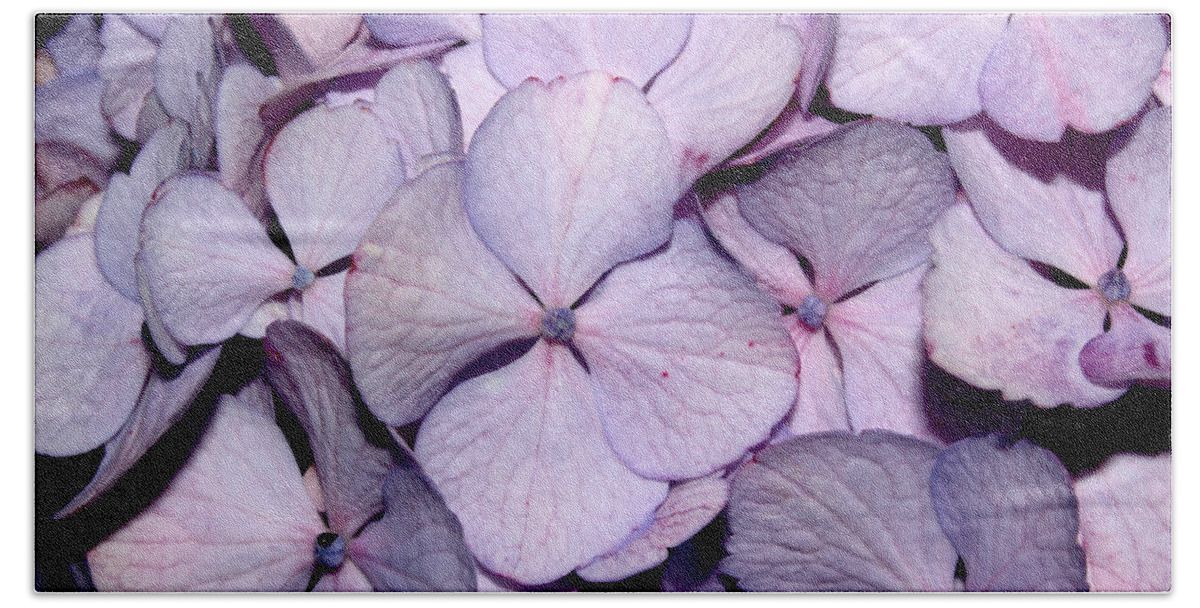 Flowers Beach Towel featuring the pyrography 2010 Hydrangea 2 by Robert Morin