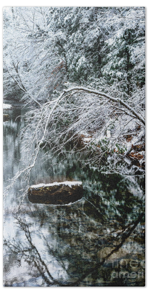 Cranberry River Beach Towel featuring the photograph Winter along Cranberry River #22 by Thomas R Fletcher