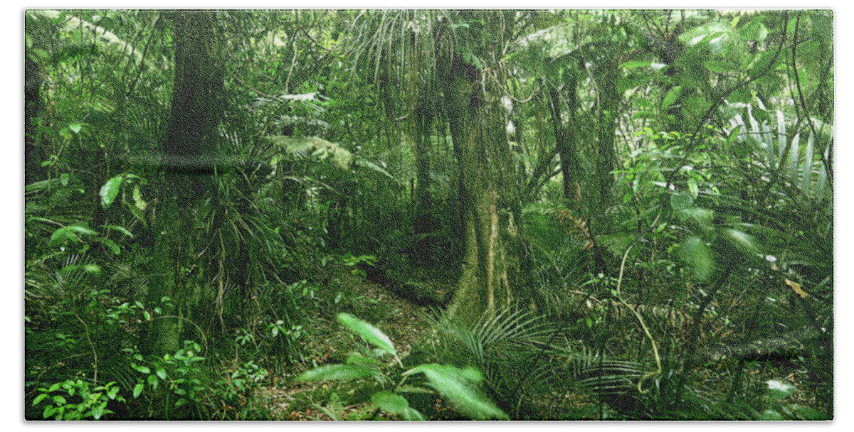 Rain Forest Beach Towel featuring the photograph Jungle 13 by Les Cunliffe