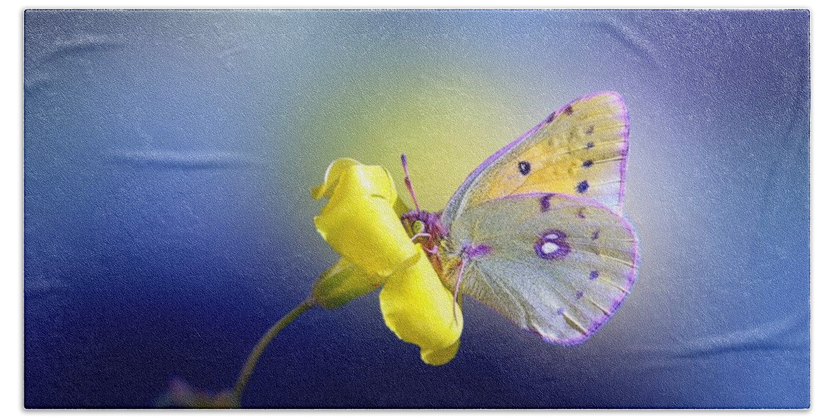 Butterfly Beach Towel featuring the photograph Butterfly #27 by Mariel Mcmeeking