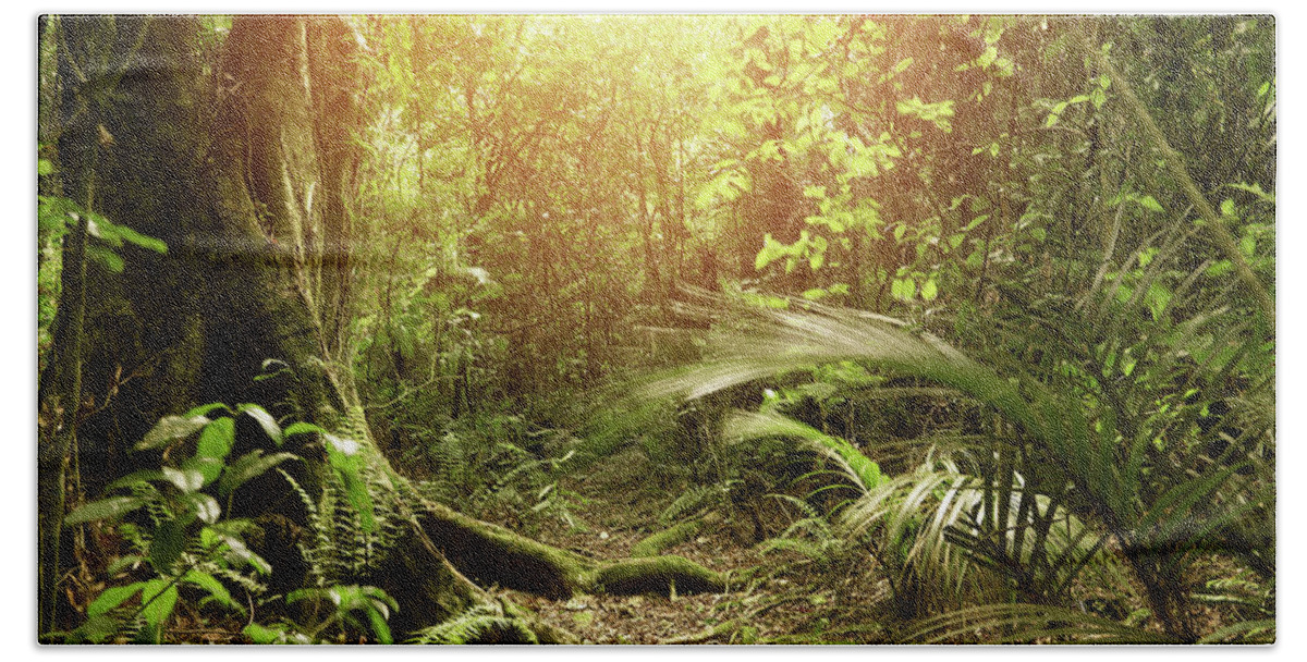Rain Forest Beach Towel featuring the photograph Forest light #29 by Les Cunliffe