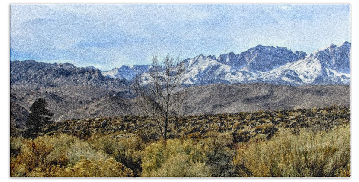 Sky Beach Towel featuring the photograph Bountiful Desert #3 by Marilyn Diaz