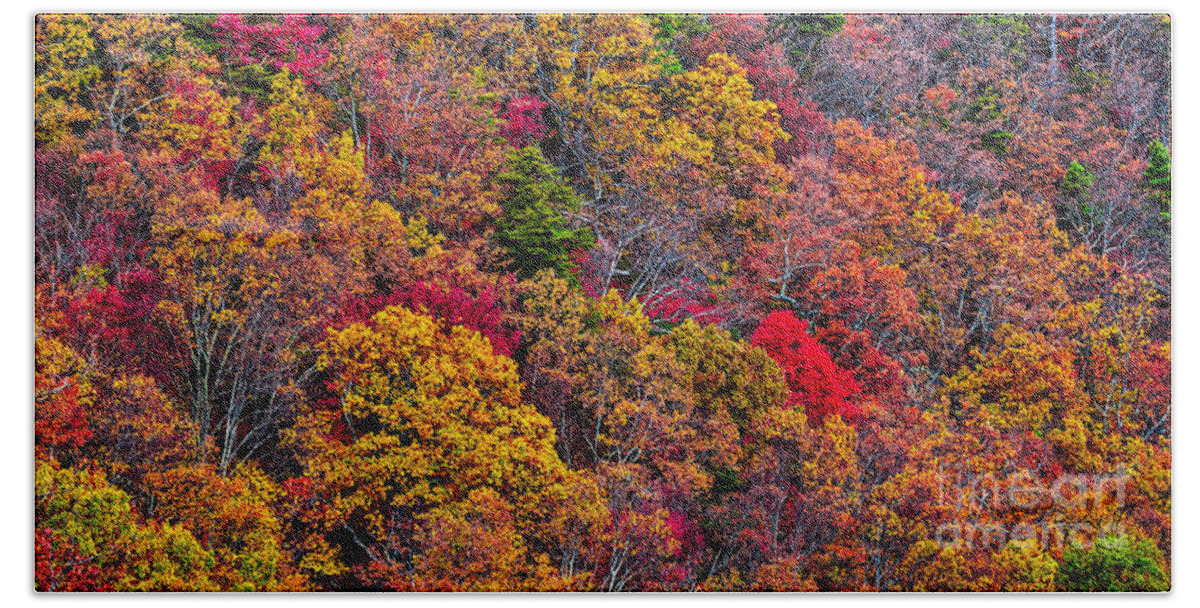 Fort-mountain Beach Towel featuring the photograph Fall colors #2 by Bernd Laeschke