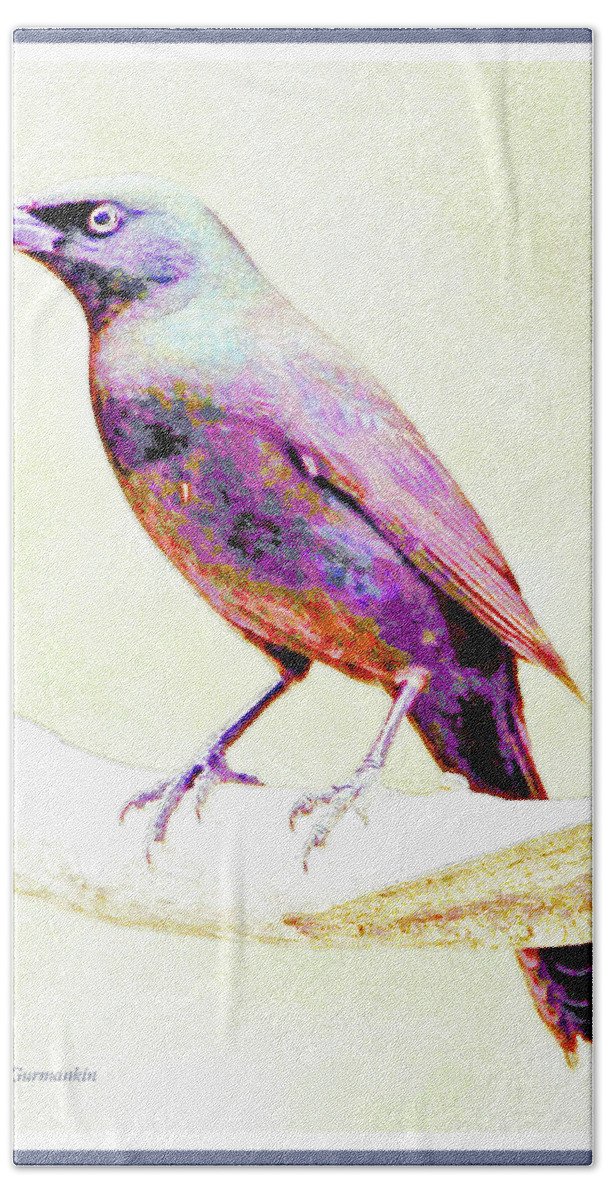 Great-tailed Grackle Beach Towel featuring the photograph Great-tailed Grackle #3 by A Macarthur Gurmankin