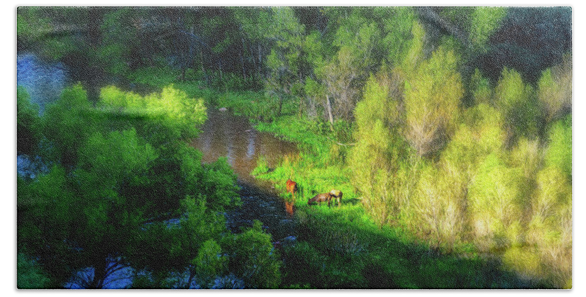 Animals Beach Sheet featuring the photograph 3 Horses grazing on the bank of the Verde River by Robert FERD Frank