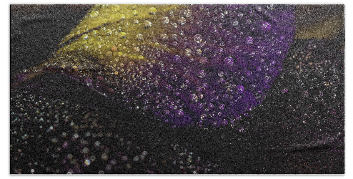 Jay Stockhaus Beach Sheet featuring the photograph Purple and Yellow #3 by Jay Stockhaus