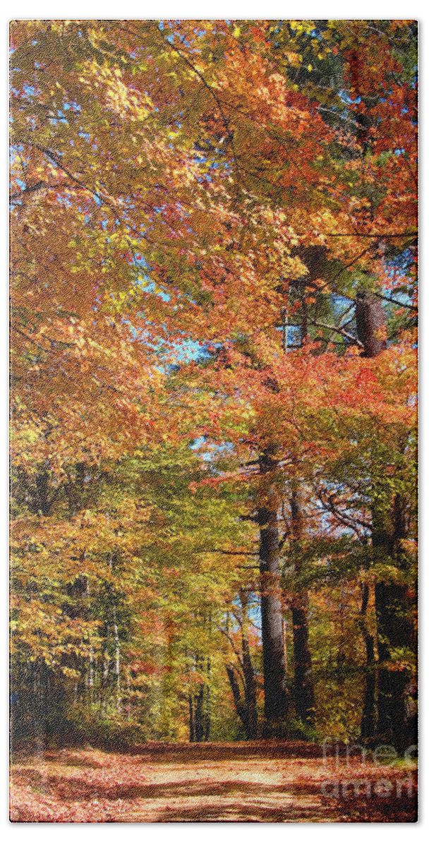 Season Beach Towel featuring the photograph Road Through Woods #3 by Larry Landolfi