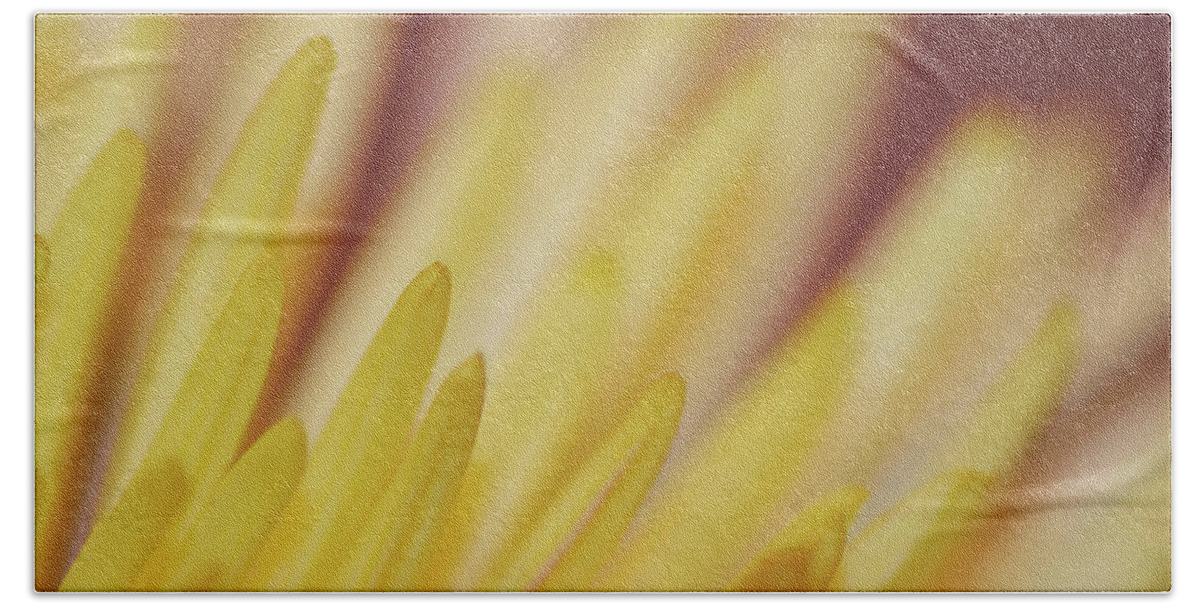 Photograph Beach Sheet featuring the photograph Yellow Mum Petals #3 by Larah McElroy