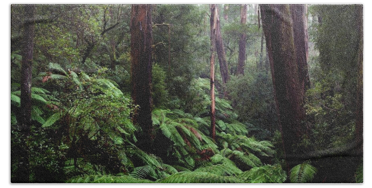 Forest Beach Towel featuring the photograph Forest #32 by Jackie Russo