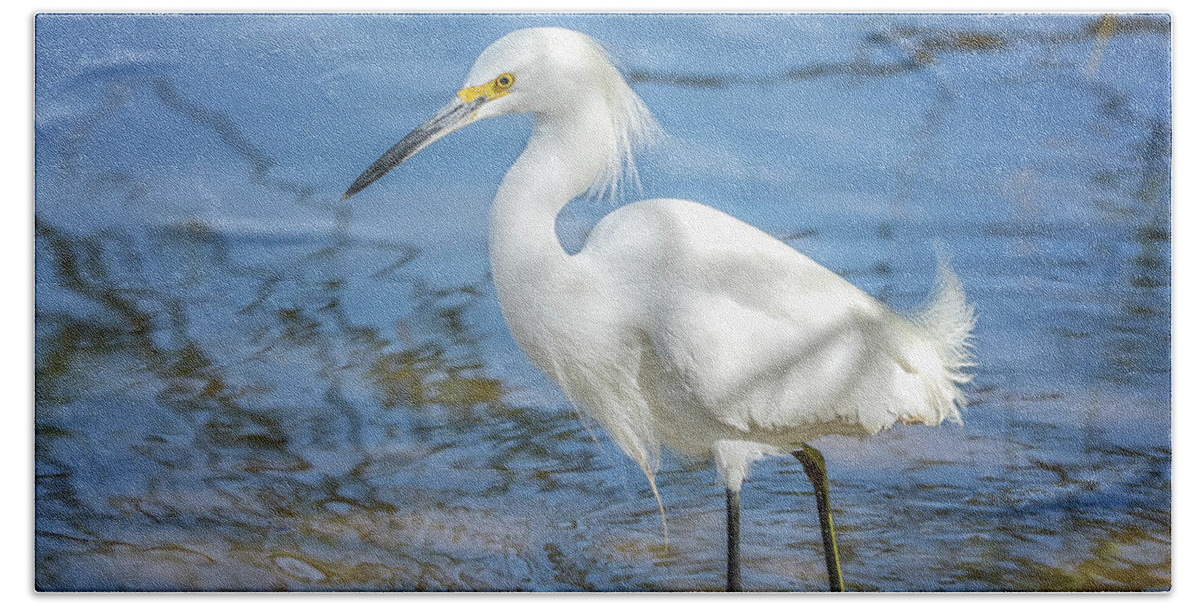 Snowy Beach Towel featuring the photograph Snowy Egret #39 by Tam Ryan
