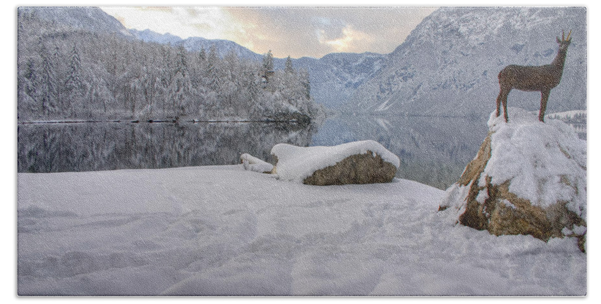 Beautiful Beach Sheet featuring the photograph Alpine winter reflections #4 by Ian Middleton