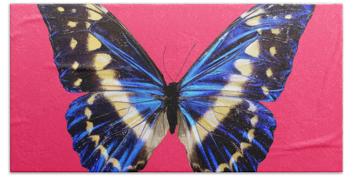 Butterfly Beach Towel featuring the digital art Butterfly #4 by Maye Loeser