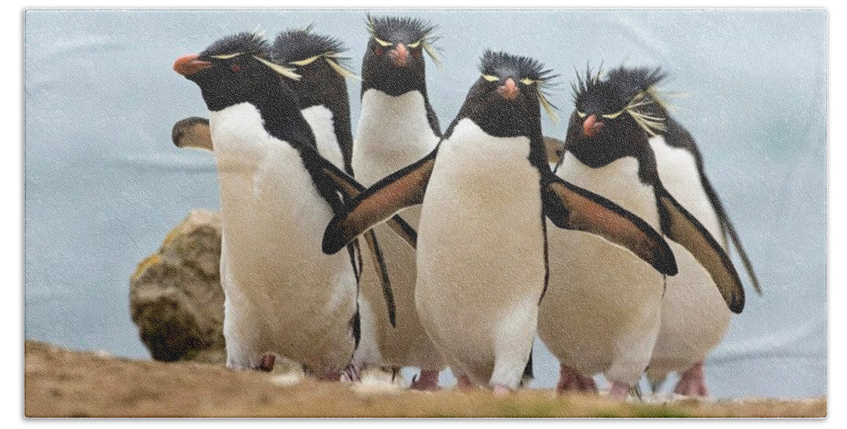 Penguin 4 Beach Towel by Mariel Mcmeeking Mobile Prints