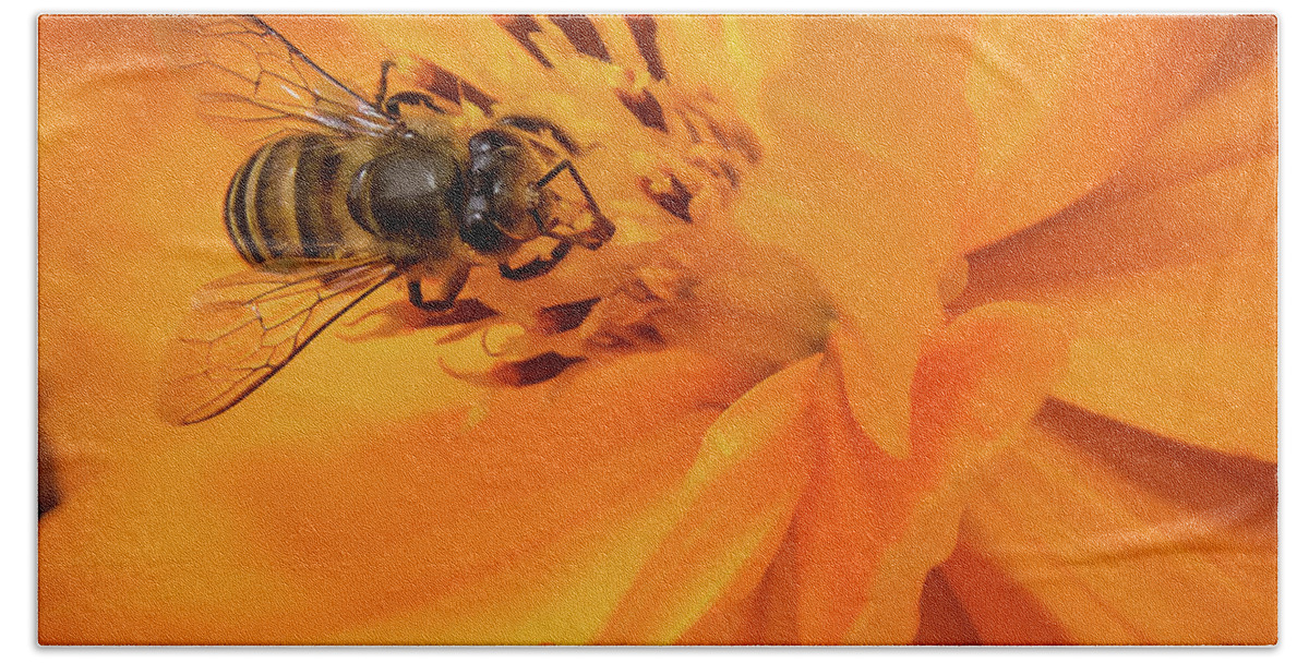 Bee Beach Towel featuring the photograph Pollination #4 by SAURAVphoto Online Store