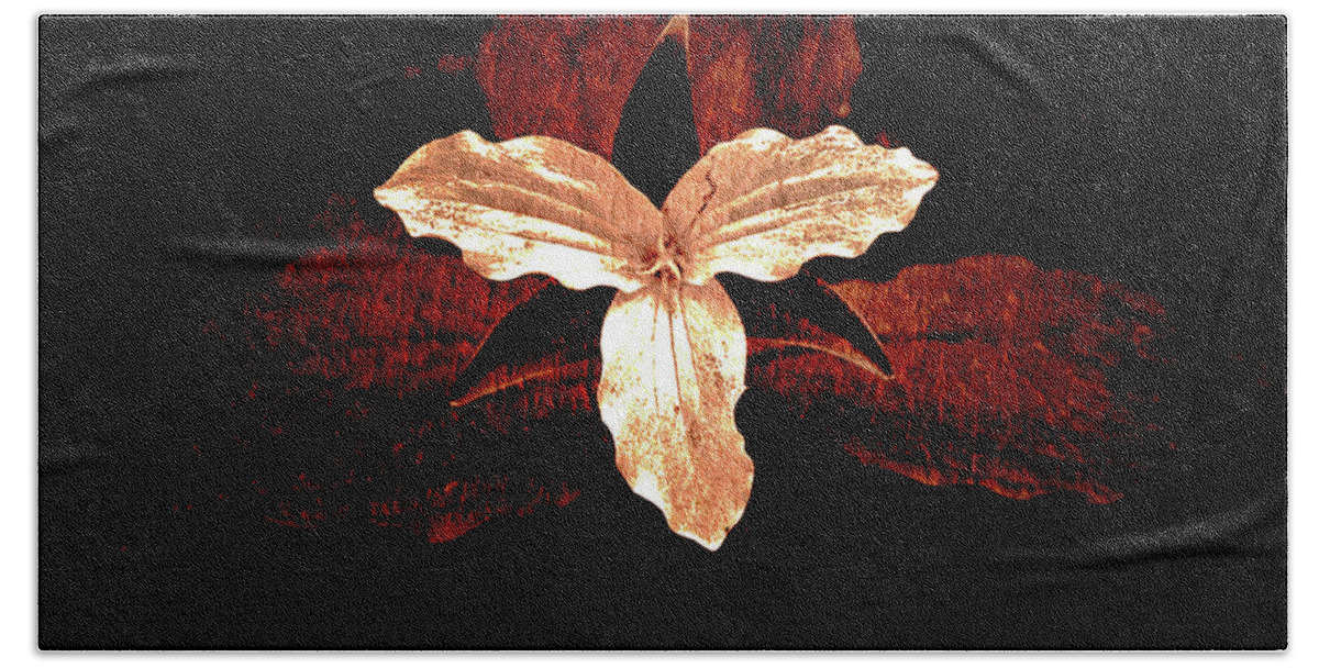Texture Beach Towel featuring the photograph Texture Flowers #4 by Prince Andre Faubert