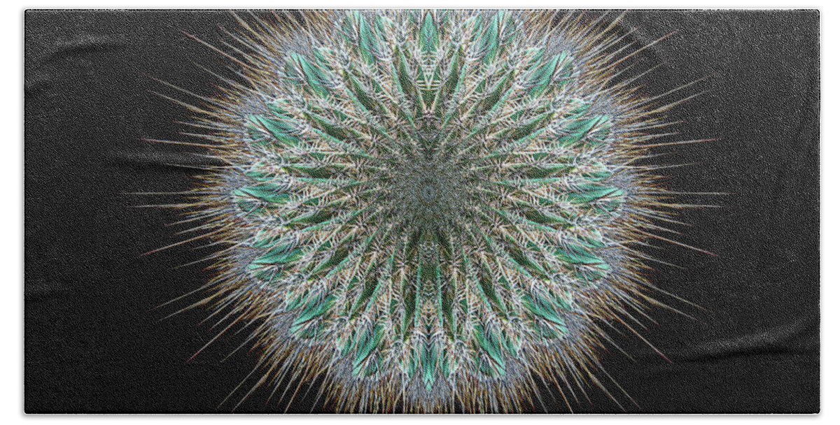 Cactus Beach Towel featuring the photograph 4418 by Peter Holme III