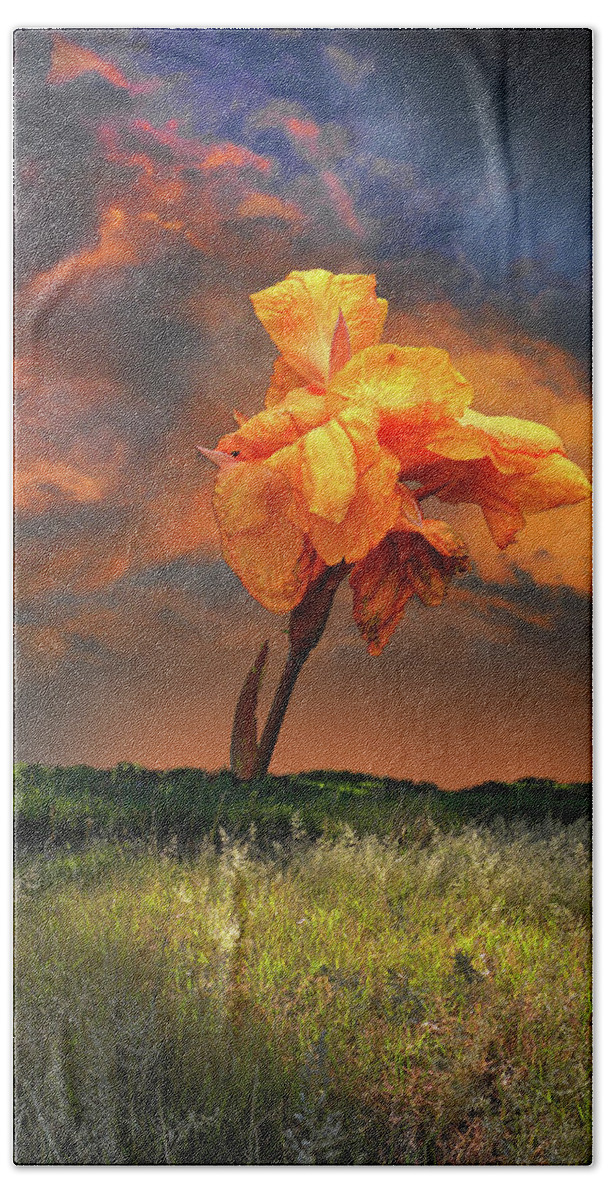 Flower Beach Towel featuring the photograph 4490 by Peter Holme III