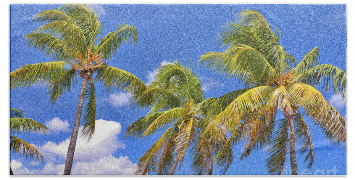 Palm Trees Beach Towel featuring the photograph 52- Palms In Paradise by Joseph Keane