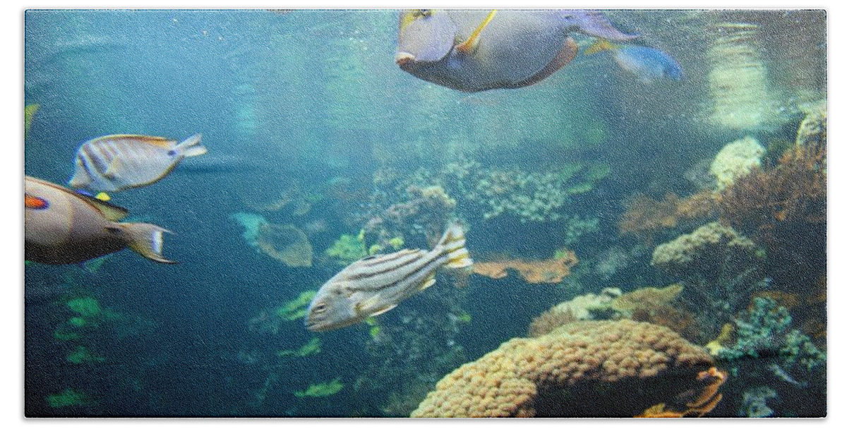 Fish Beach Towel featuring the photograph Fish #6 by Mariel Mcmeeking