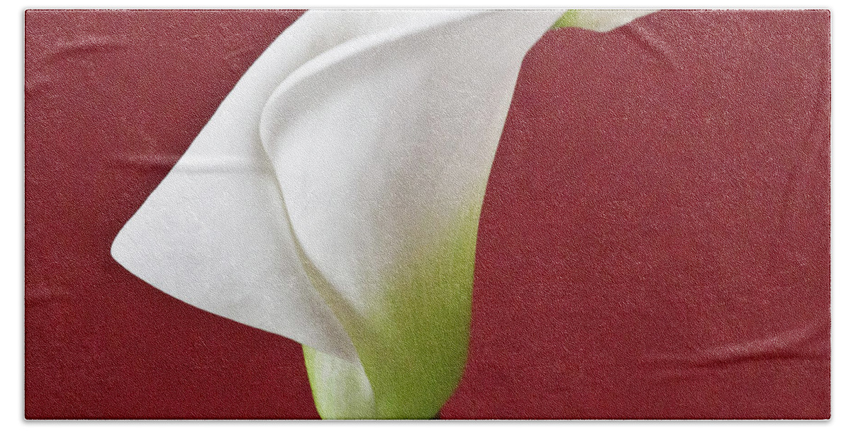 Calla Beach Towel featuring the photograph White Calla #7 by Heiko Koehrer-Wagner