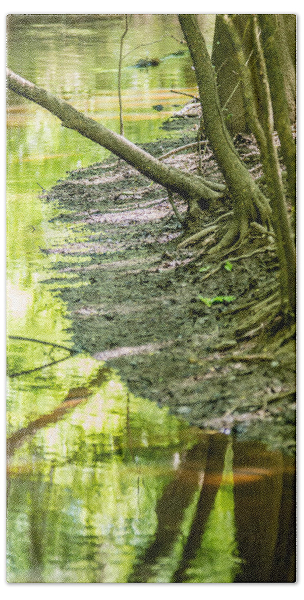 Carolina Beach Towel featuring the photograph cypress forest and swamp of Congaree National Park in South Caro #7 by Alex Grichenko
