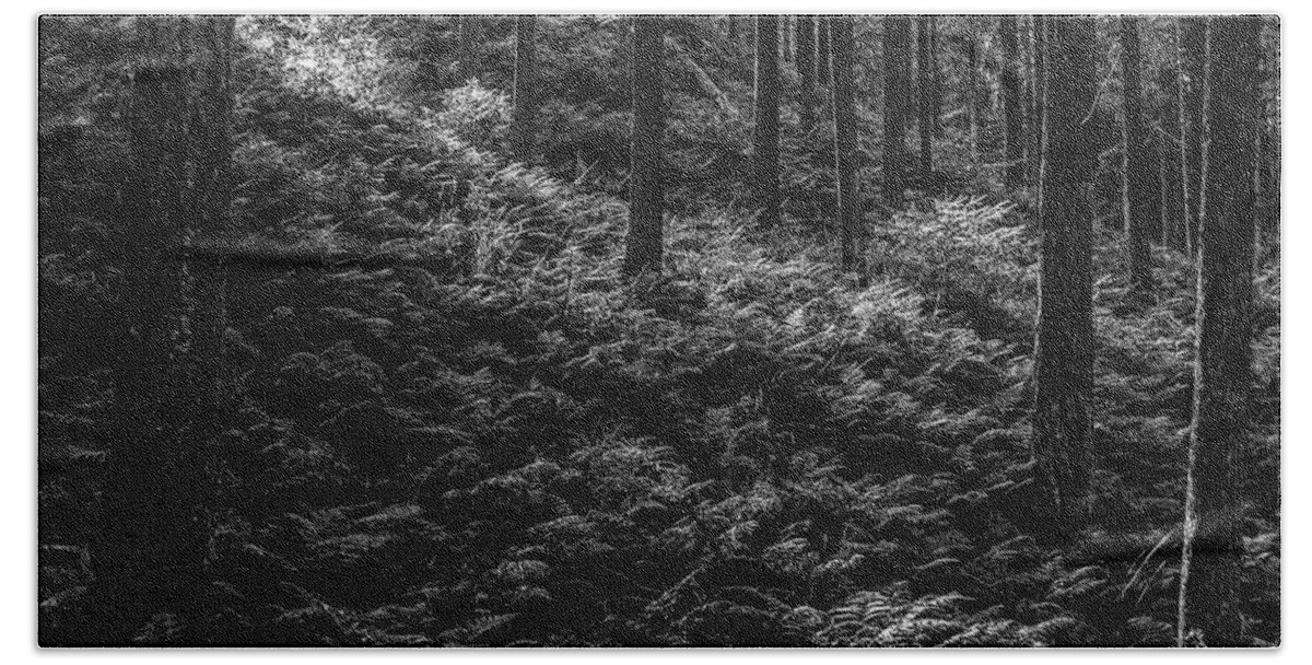 Forest Beach Towel featuring the photograph Forest #7 by Elmer Jensen