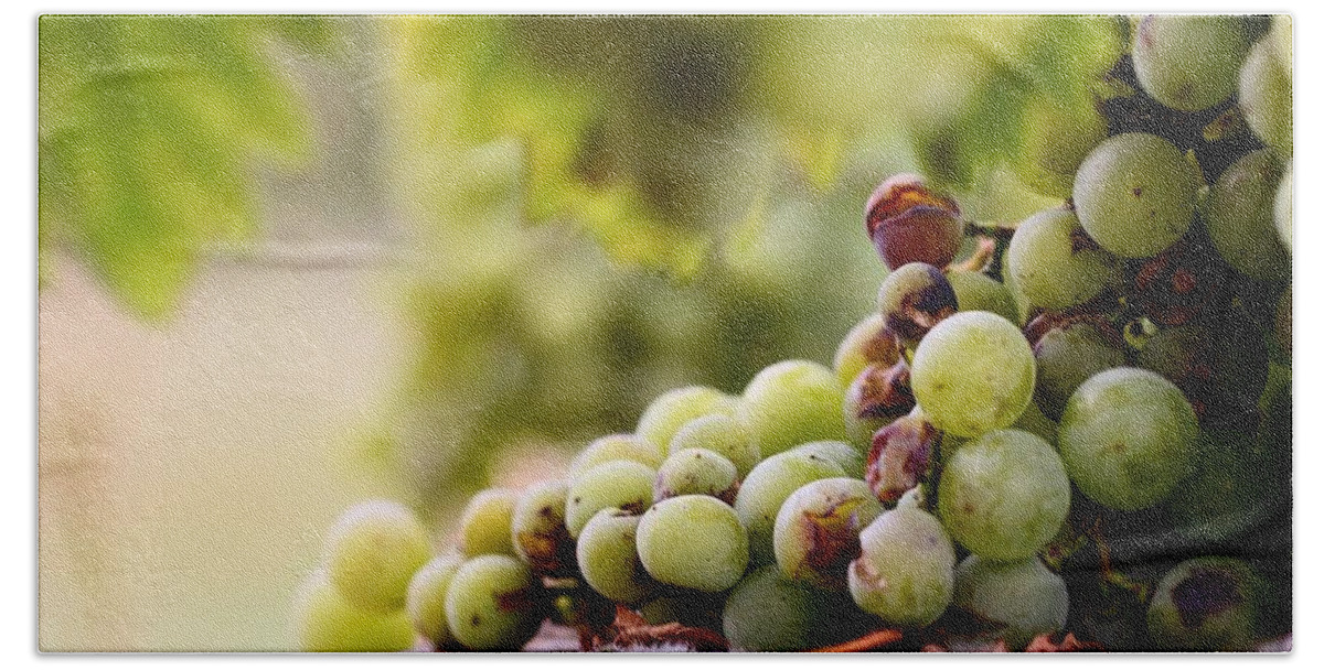 Grapes Beach Towel featuring the photograph Grapes #7 by Mariel Mcmeeking