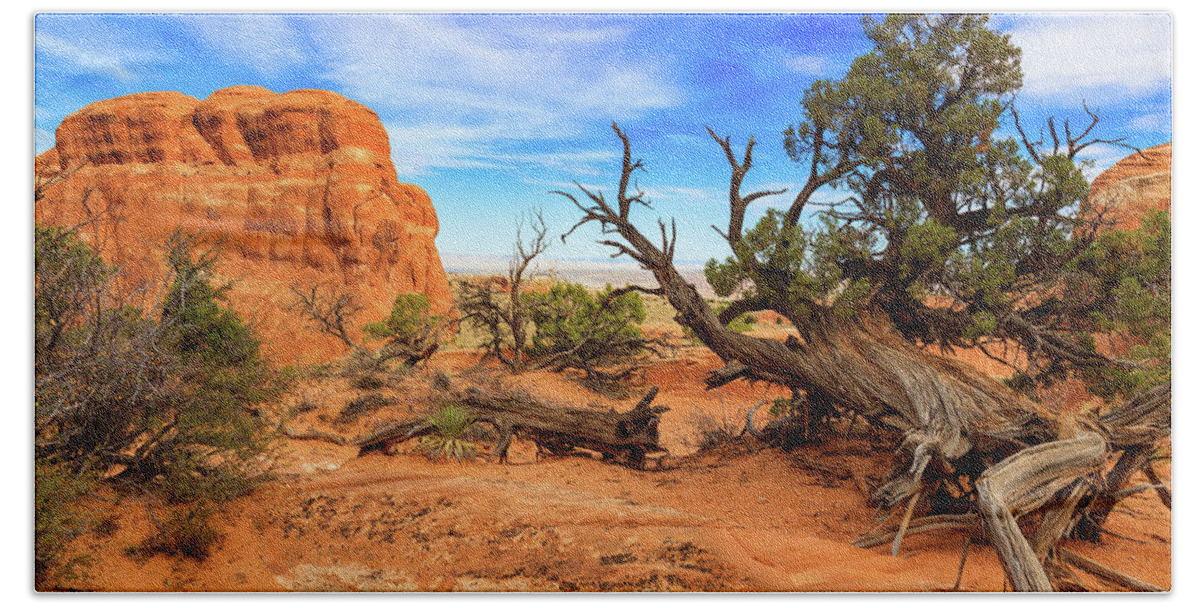 Arches National Park Beach Towel featuring the photograph Arches National Park by Raul Rodriguez