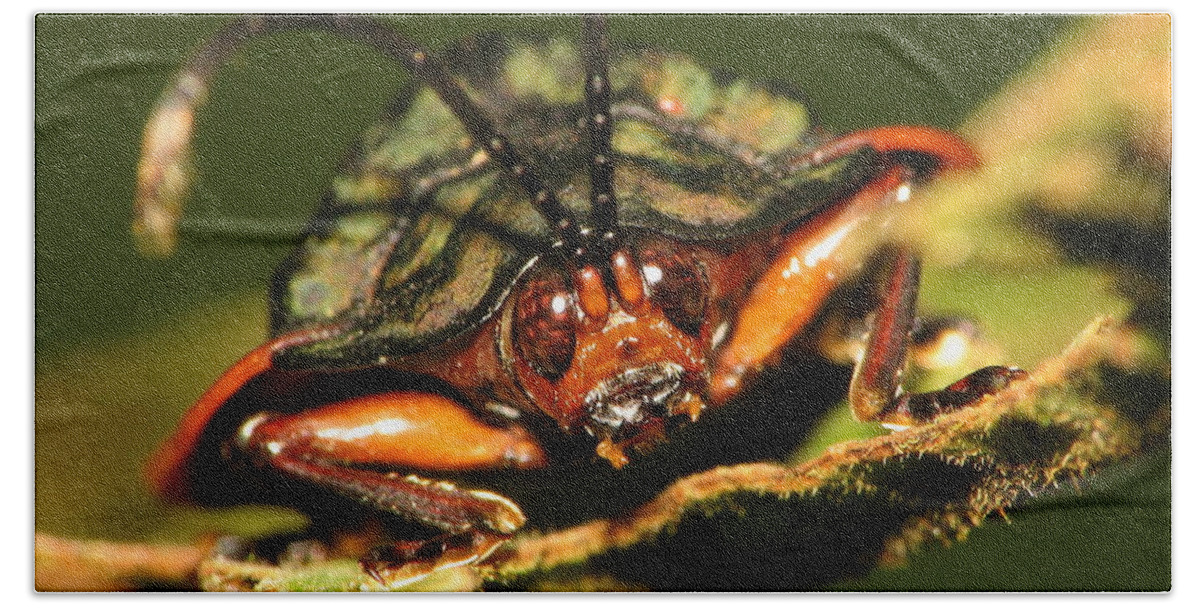 Insect Beach Towel featuring the digital art Insect #8 by Maye Loeser