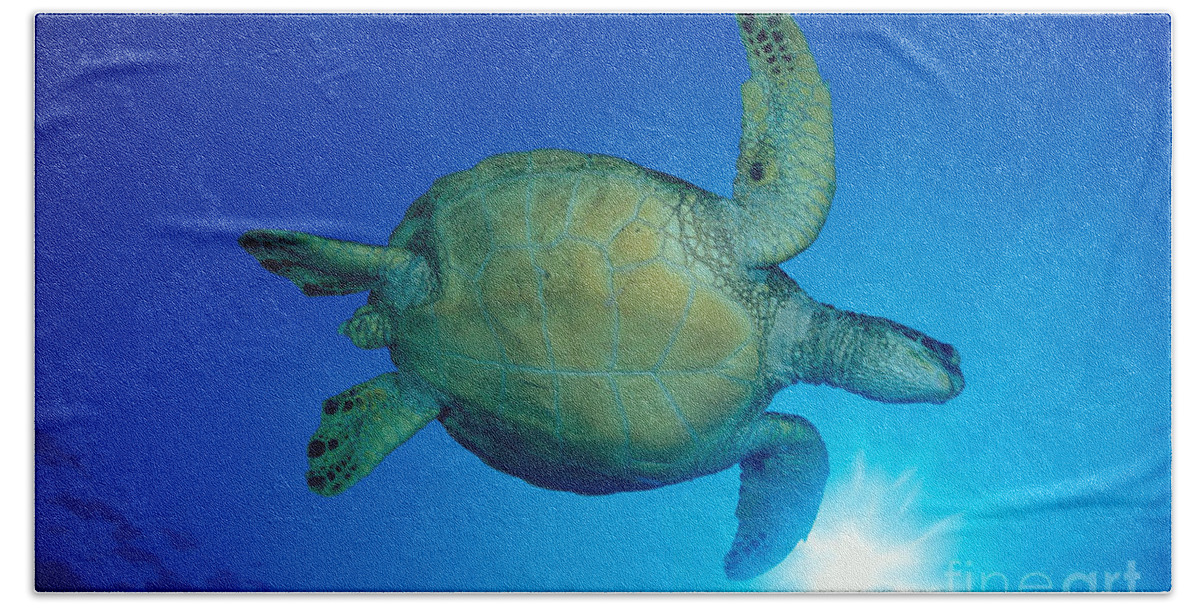 Animal Art Beach Towel featuring the photograph Hawaii, Green Sea Turtle #9 by Dave Fleetham - Printscapes
