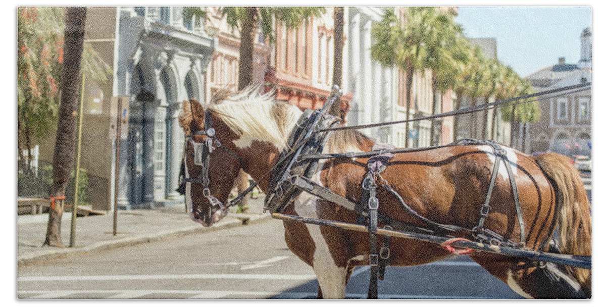 South Beach Towel featuring the photograph Historic Charleston South Carolina Downtown Scenery #9 by Alex Grichenko