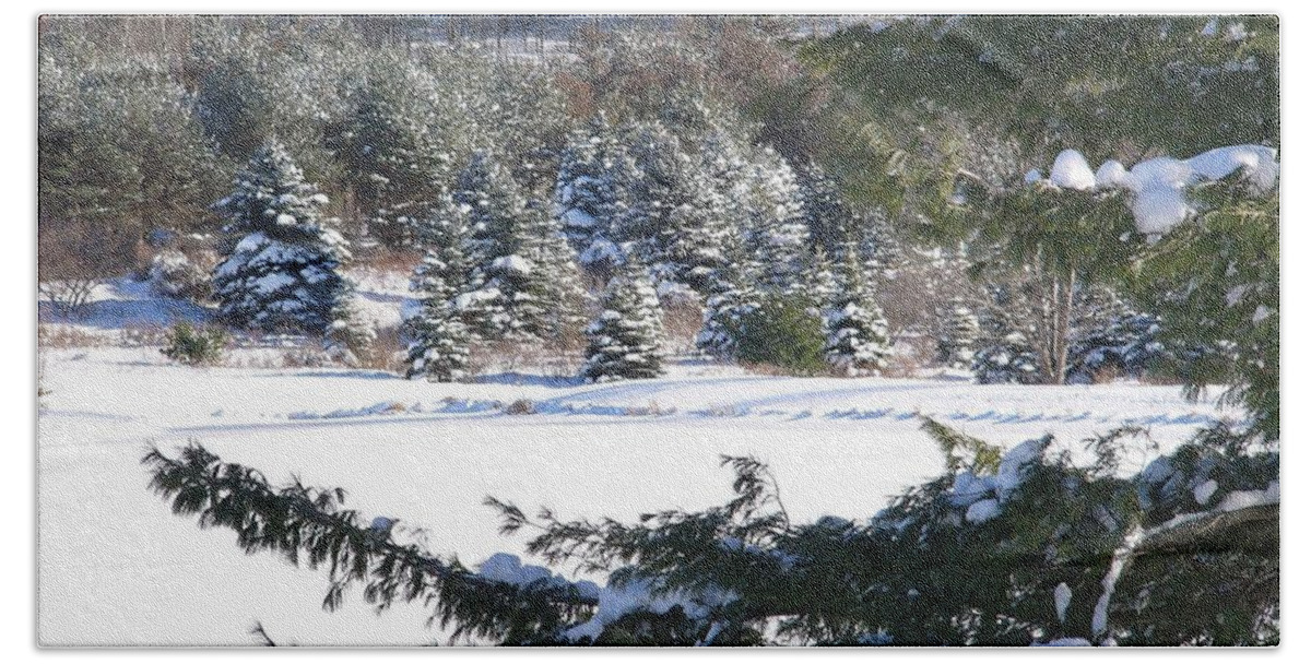 Winter Beach Towel featuring the photograph Winter #9 by Jackie Russo
