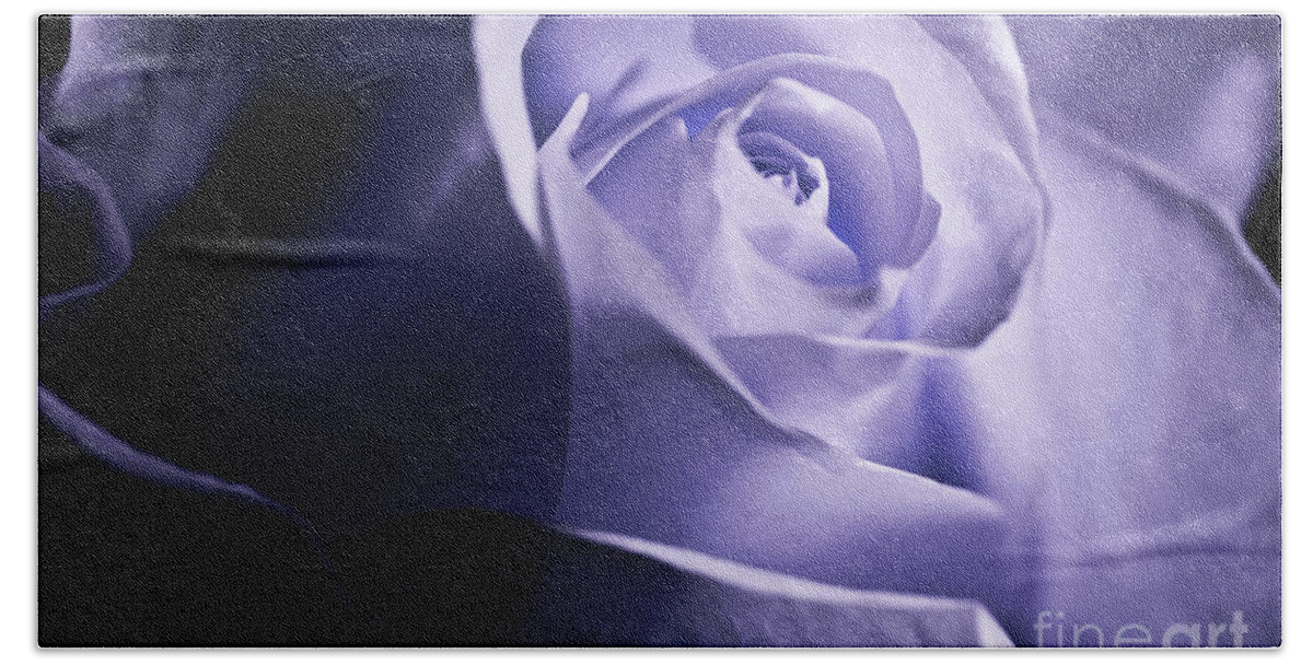 White Rose Beach Sheet featuring the photograph A Beautiful purple rose by Micah May