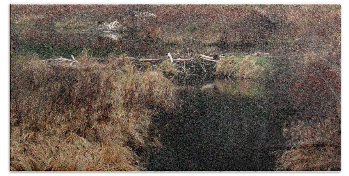 Nature Beach Sheet featuring the photograph A Beaver's Work by Skip Willits