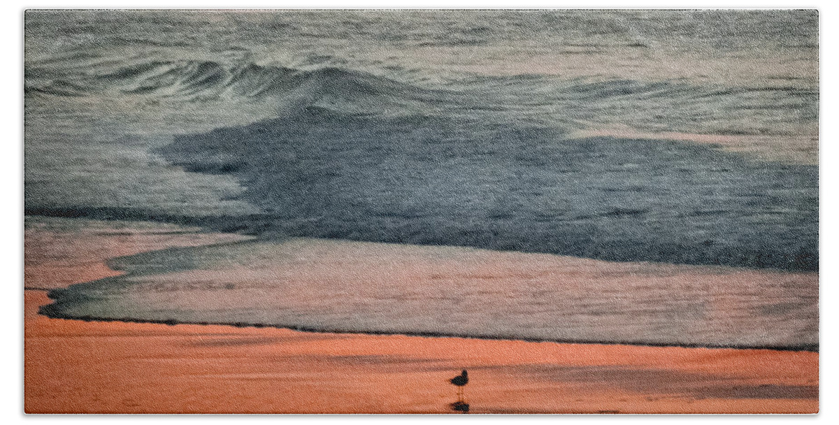 Beaches Beach Towel featuring the photograph A Bird's Eye View by Karen Wiles