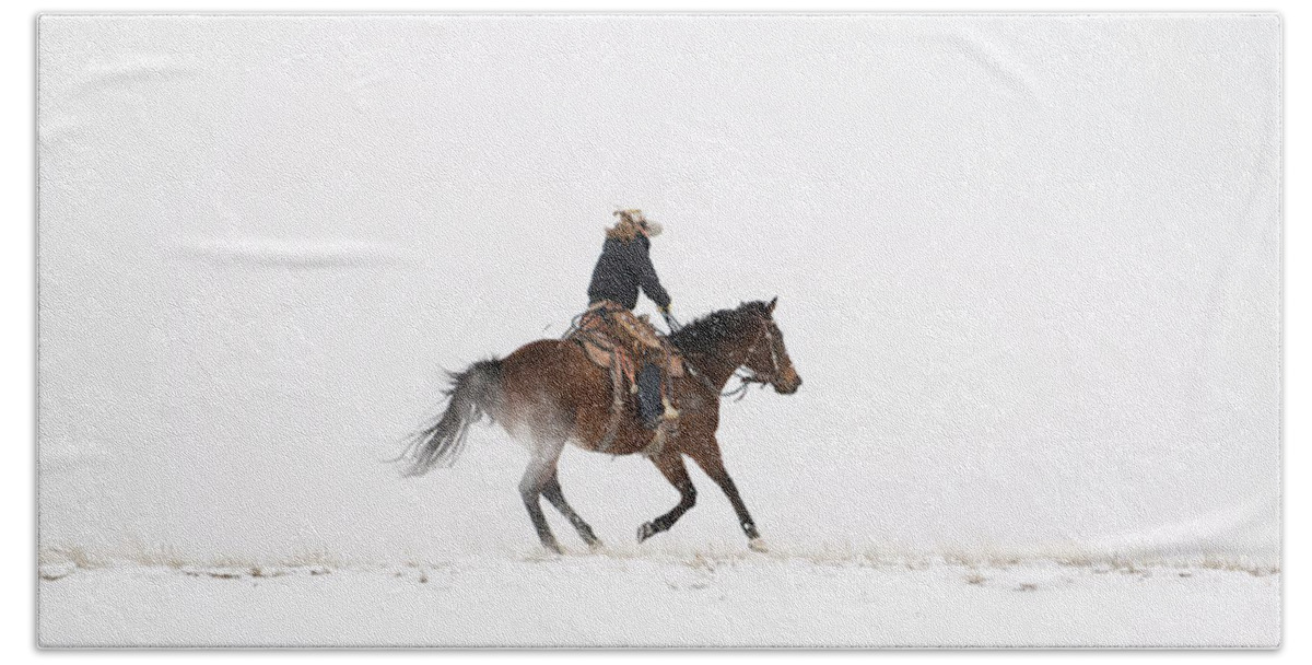 Horse Beach Towel featuring the photograph A Chilly Ride by Pamela Steege
