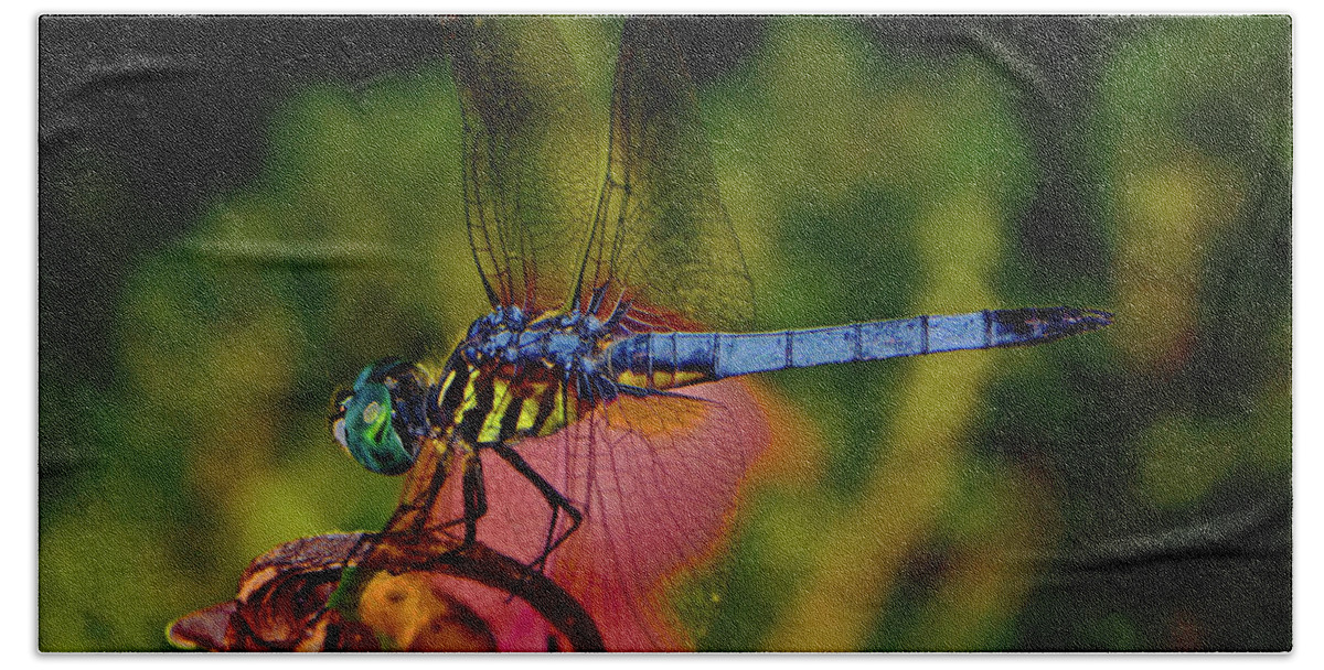 Insect Beach Sheet featuring the photograph A Dragonfly 028 by George Bostian