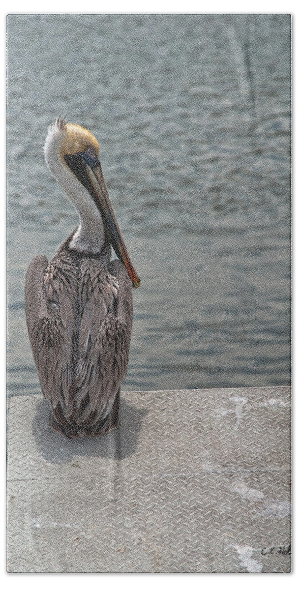 Pelican Beach Towel featuring the photograph A Moment by Christopher Holmes