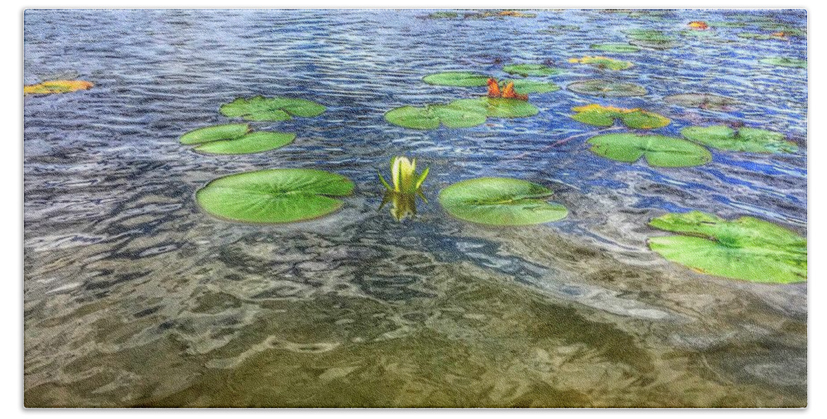 Lilies Beach Towel featuring the photograph A Monet Moment by Nick Heap