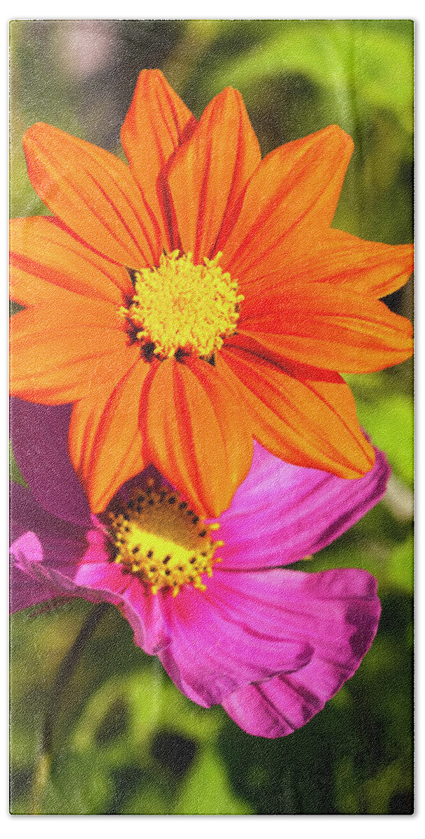 Mexican Sunflower Beach Towel featuring the photograph A Pair Of Flowers 2017 by Thomas Young
