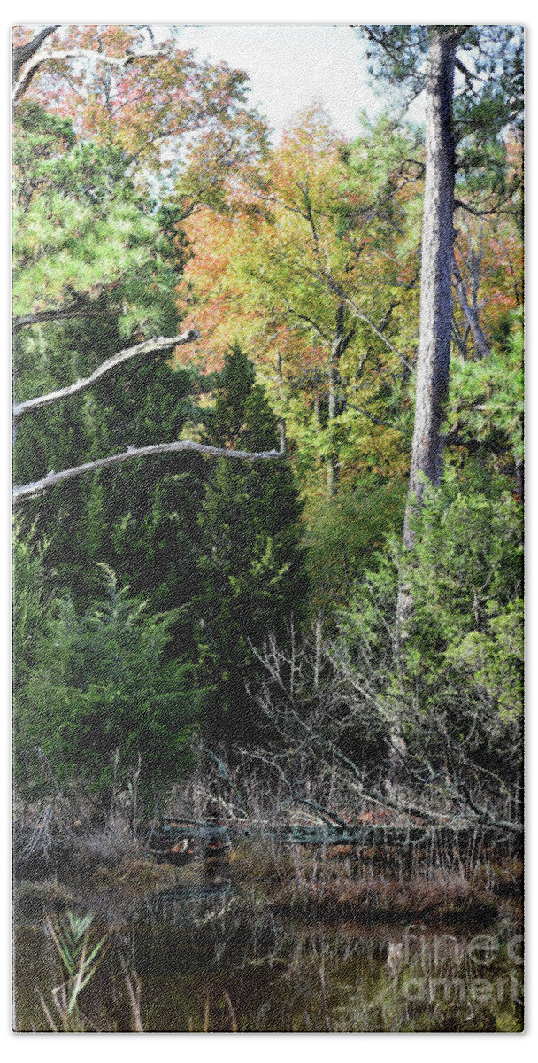 Animals Beach Towel featuring the photograph A Place Of Serenity by Skip Willits