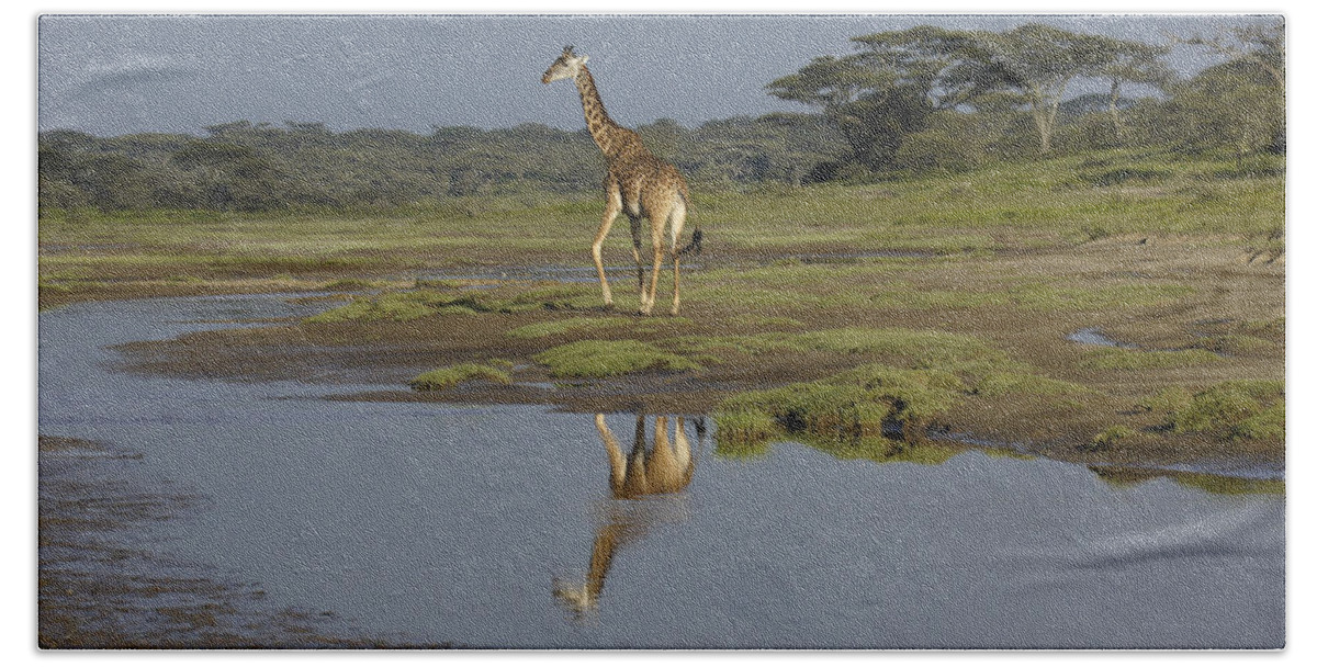 Africa Beach Towel featuring the photograph A Real Standout by Michele Burgess