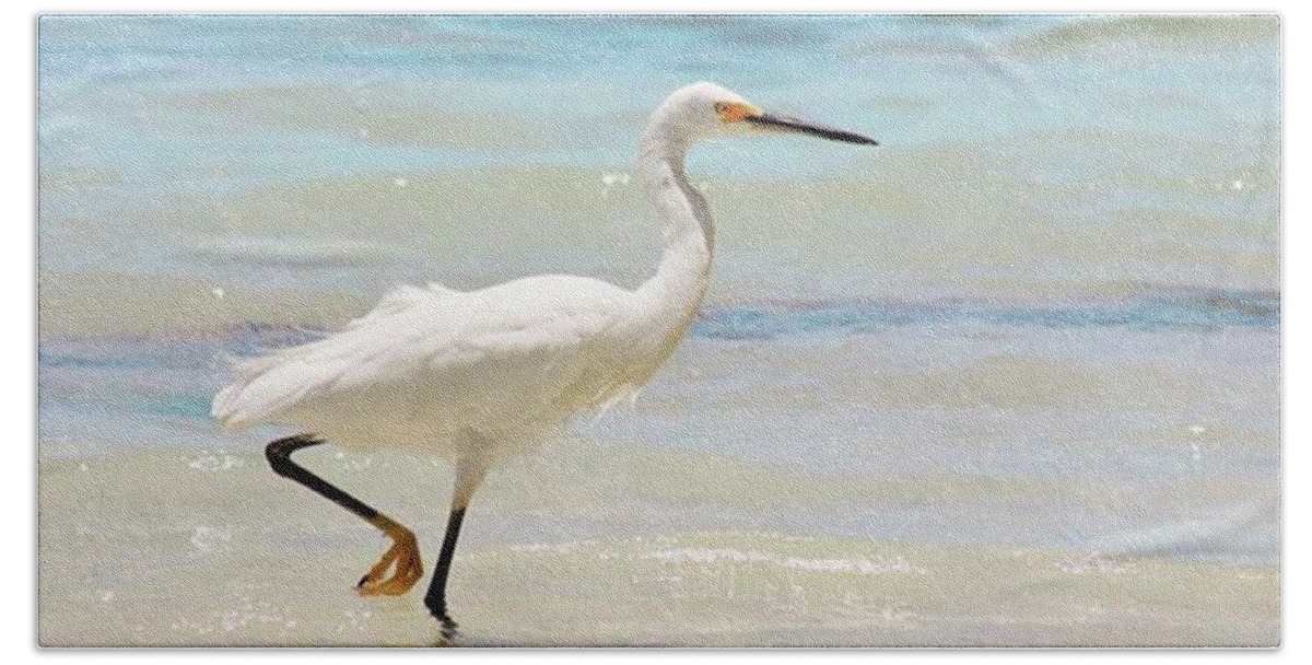 Egret Beach Towel featuring the photograph A Snowy Egret (egretta Thula) At Mahoe by John Edwards