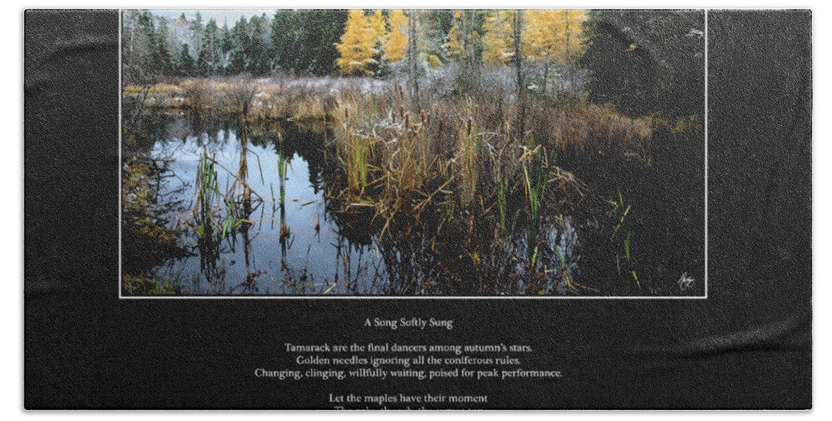 Tamarack Beach Towel featuring the photograph A Song Softly Sung by Wayne King