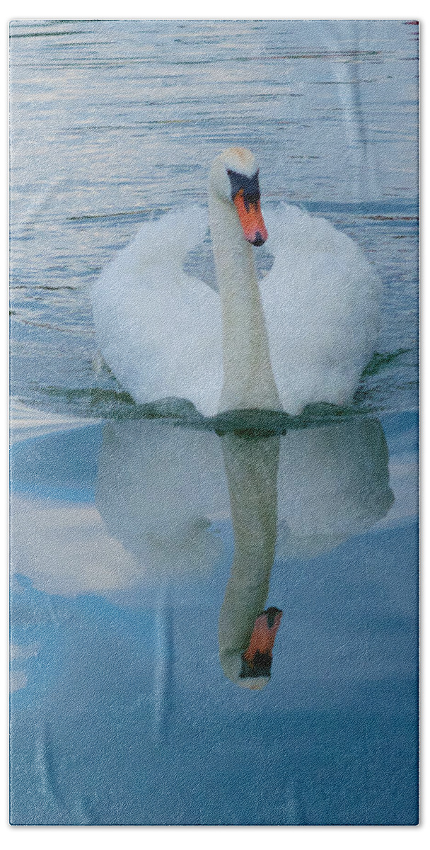 Swan Beach Towel featuring the photograph A Swan in the Clouds by Mark Egerton